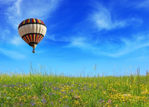 odem_spring_slider (2)-min odem_spring_slider (2)-min