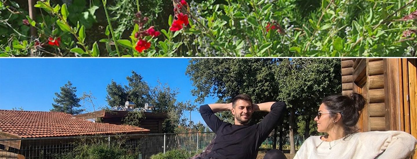 אודם מבצע