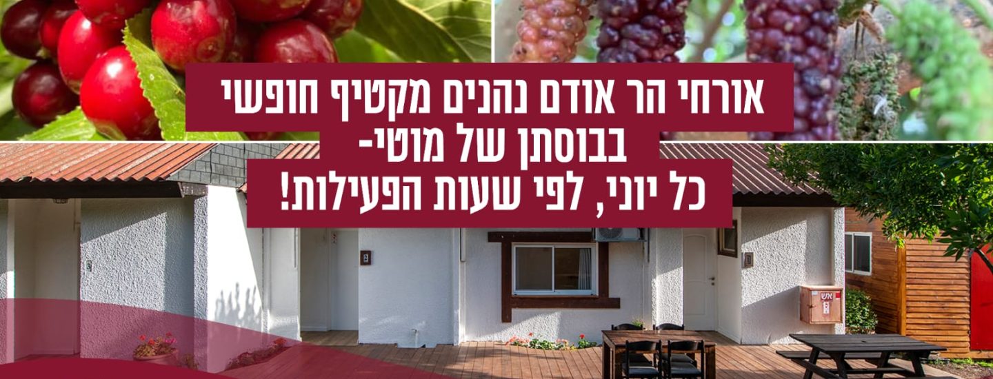 מבצע דובדבן